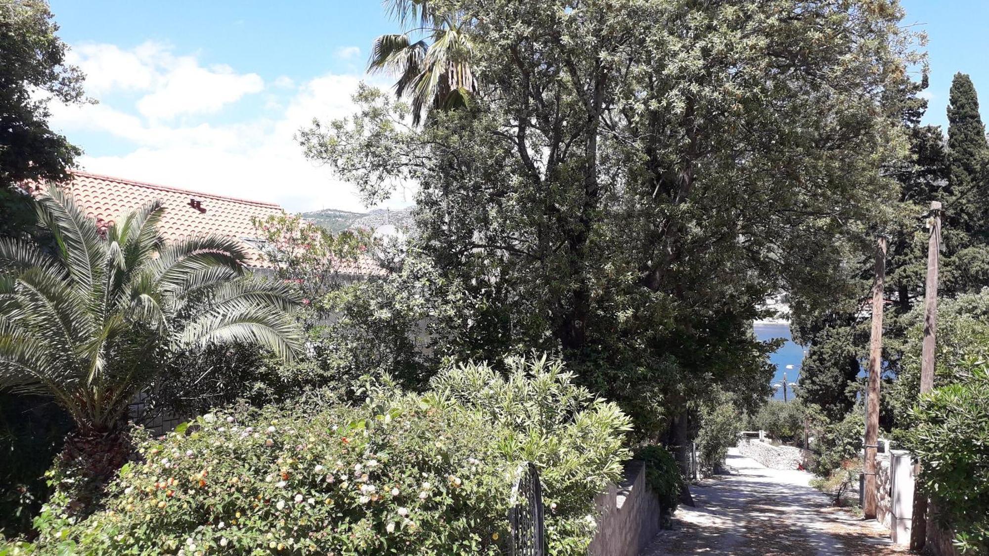 Apartments Marija - 50M From Beach Zaton  Eksteriør bilde
